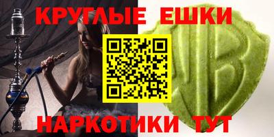 гашик Боровичи