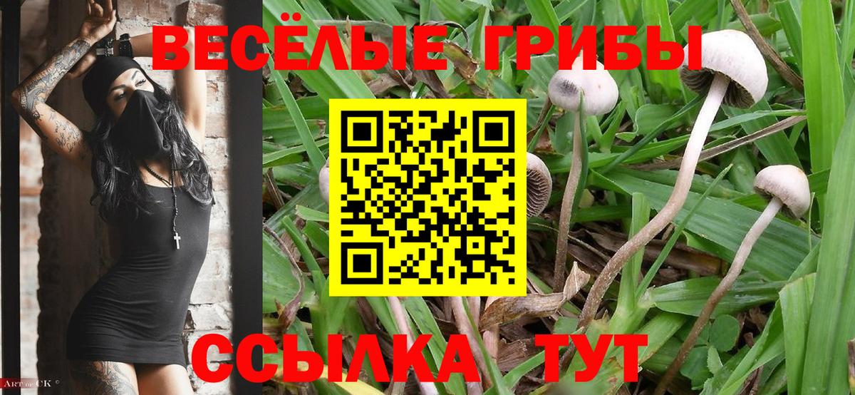 Псилоцибиновые грибы Magic Shrooms Котовск