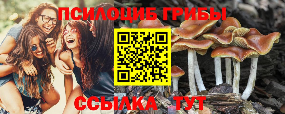 Котовск  Галлюциногенные грибы MAGIC MUSHROOMS  Вход с VPN 